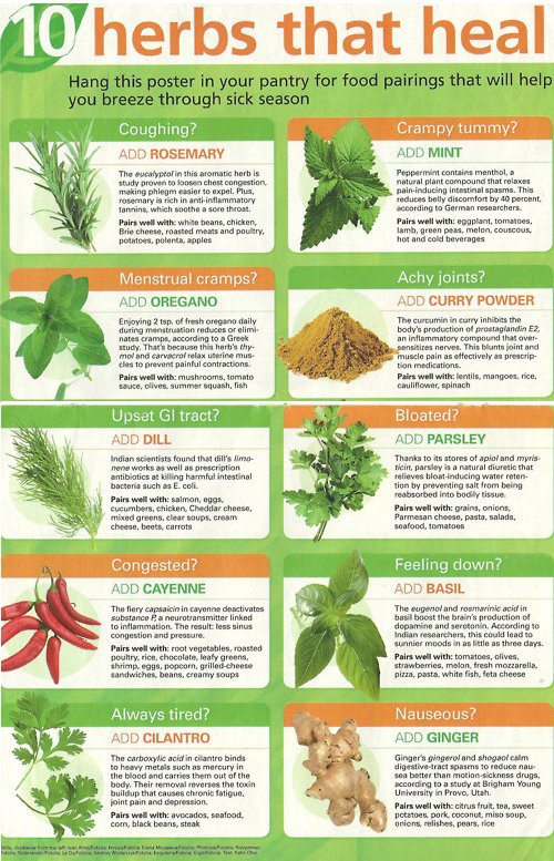 10 Herbs That Heal
