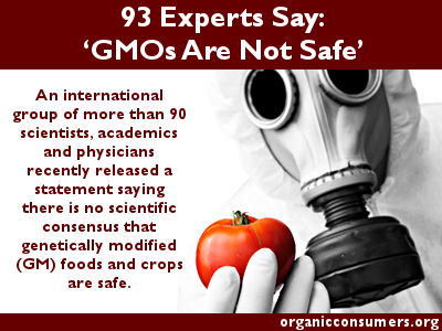 93 Experts Say GMOs Not Safe