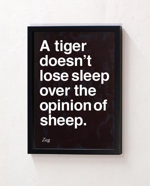 A Tiger Does Not Lose Sleep Over The Opinion Of Sheep