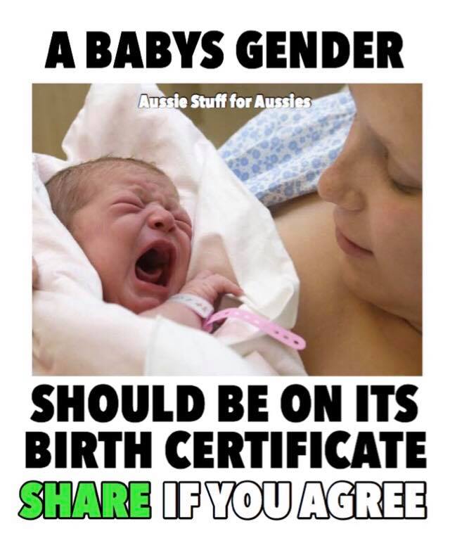 A Baby's Gender Should Be Listed