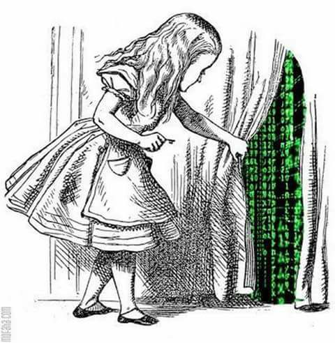 Alice Finds The Matrix