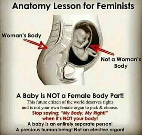 Anatomy Lesson For Feminists