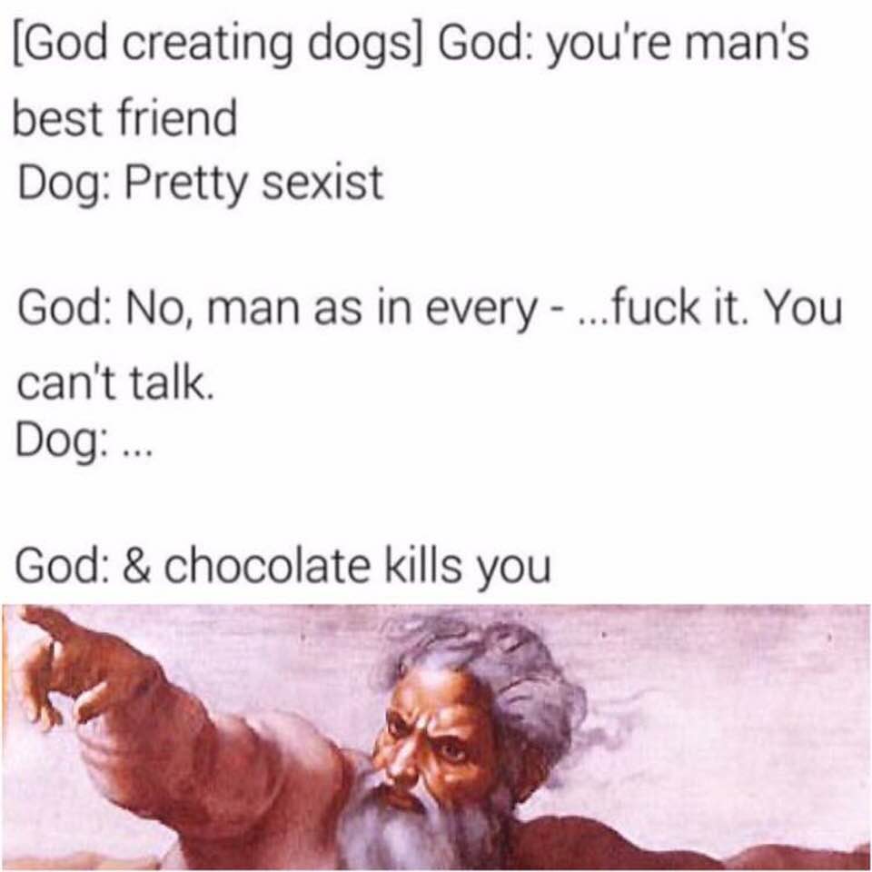 And God Created Dog