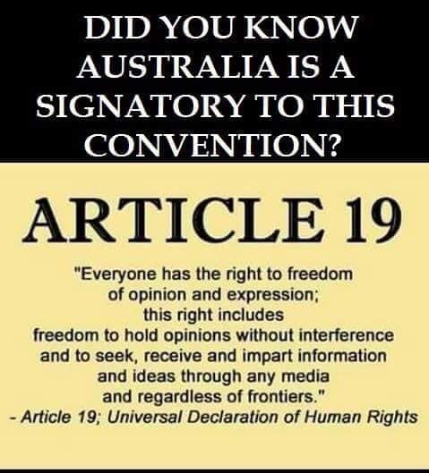 Article 19 UDHR