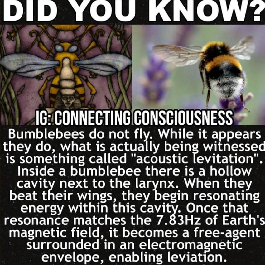 Bumblebee Flight Explained
