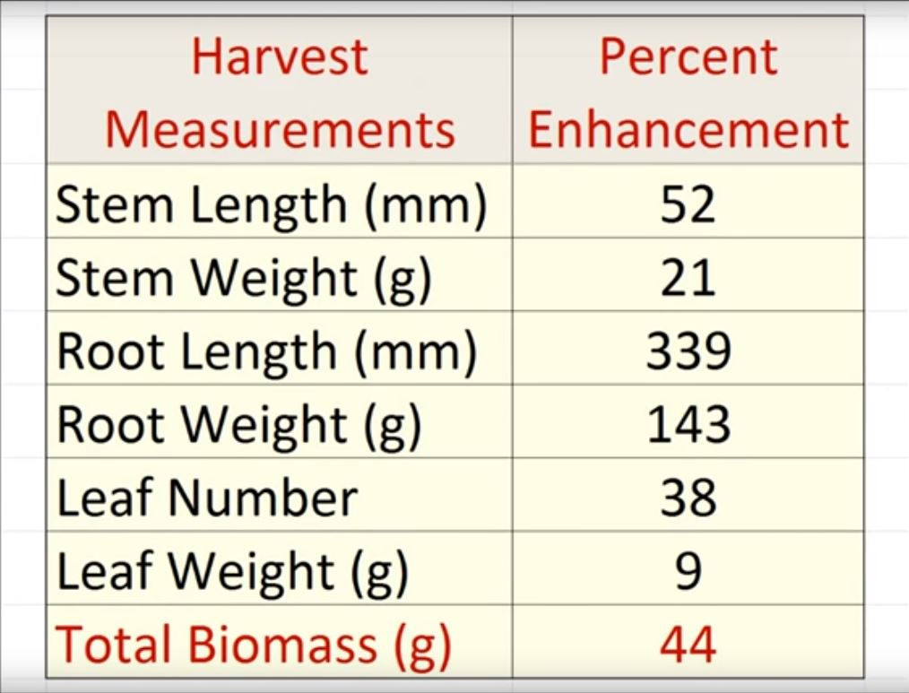 CO2 Increases Plant Growth