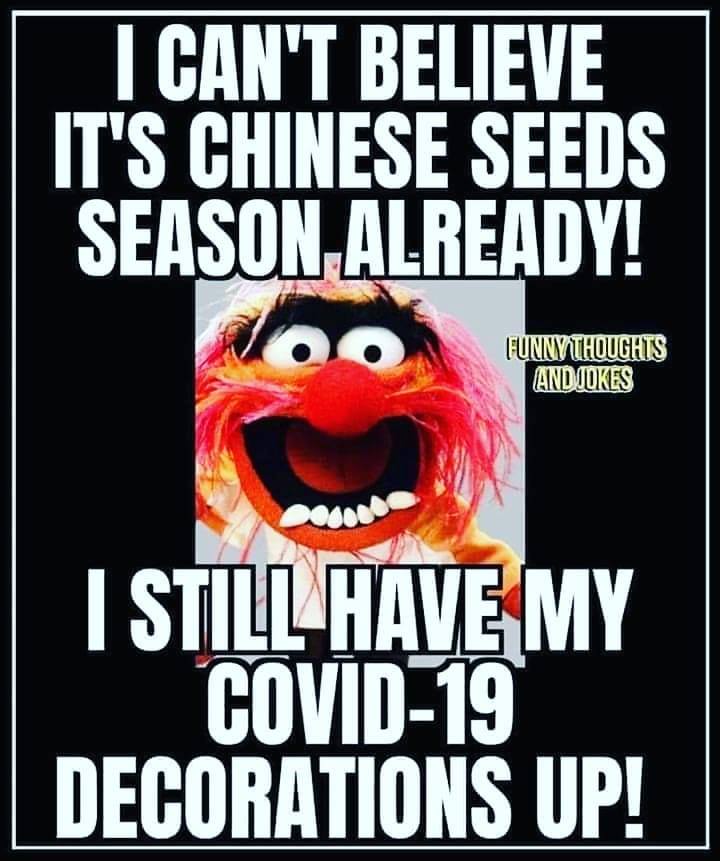 Chinese Seeds Season