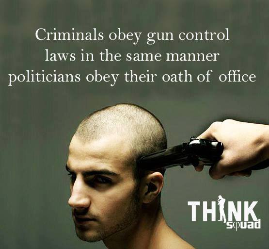Criminals Obey Gun Control Laws Like Pollies Obey Their Oath of Office