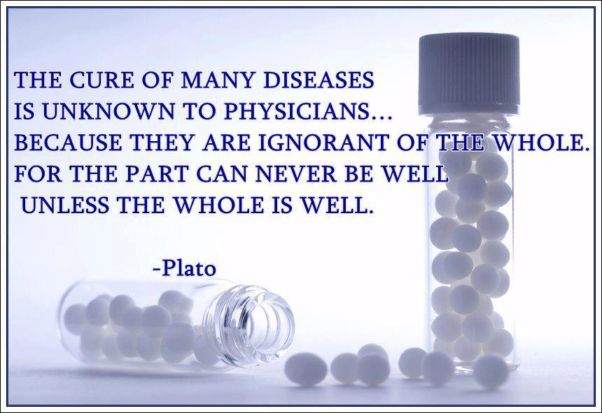 Plato Says Cure The Whole