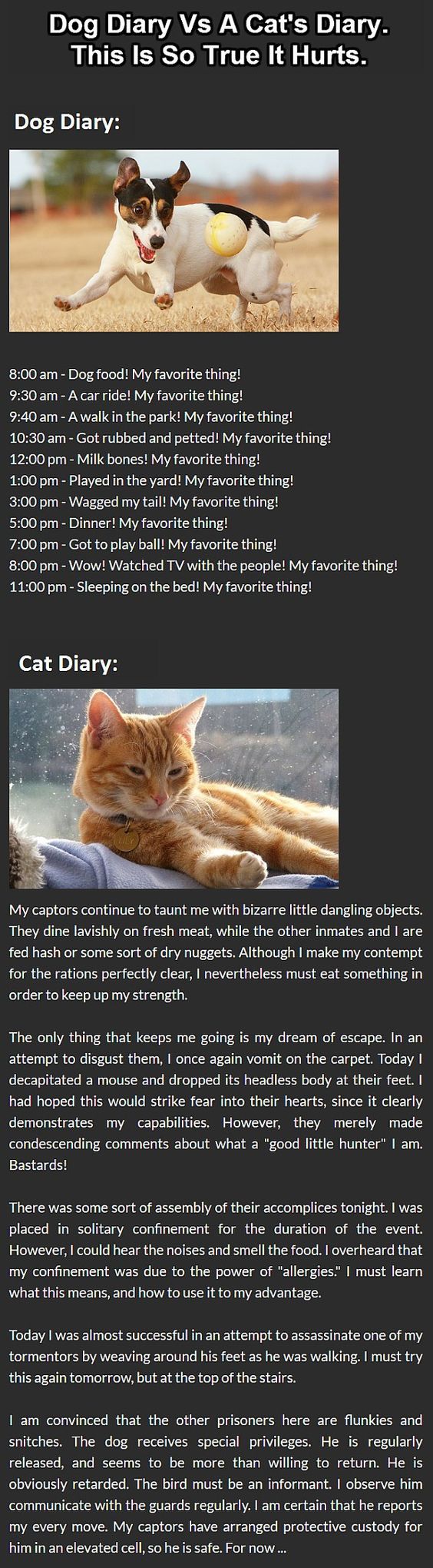 Dog Versus Cat Diary