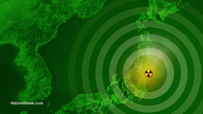 Fukushima Japan Nuclear Radiation Disaster