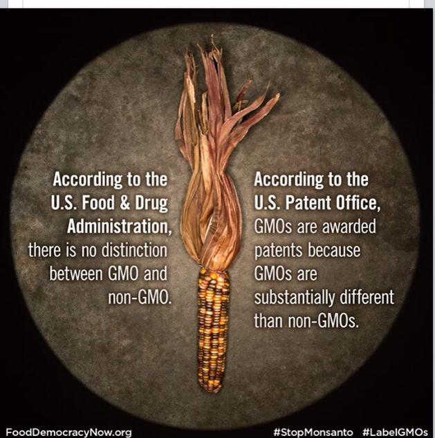 GMO vs Non GMO