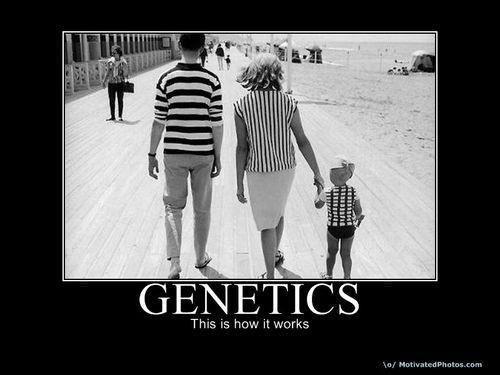 Genetics. This is how it worrks.