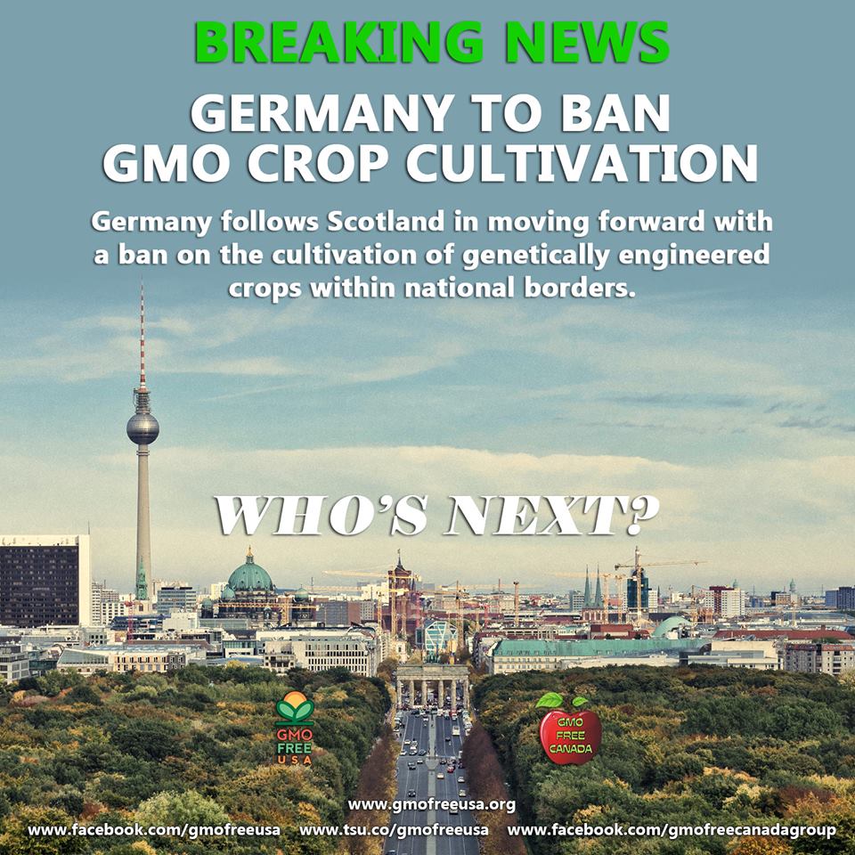 Germany Too Bans GMOs
