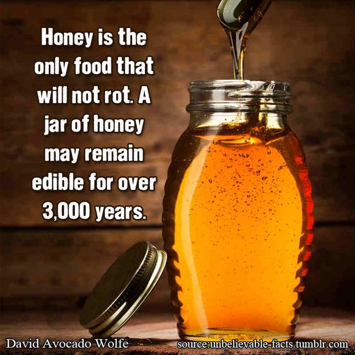 Honey Does Not Rot
