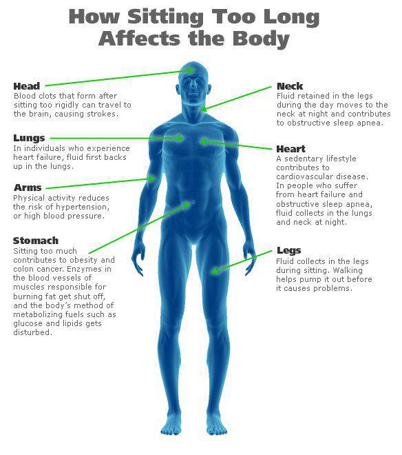 How Sitting Affects The Body