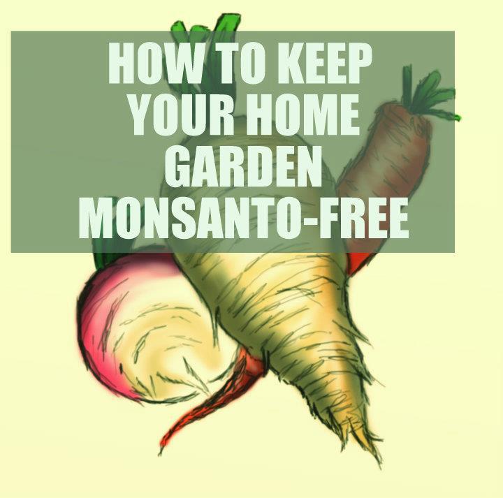 How To Keep Your Garden Monsanto Free