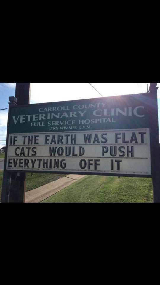 If The Earth Was Flat