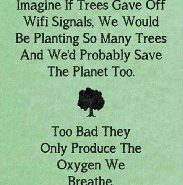 Imagine If Trees Gave Off WiFi Signals