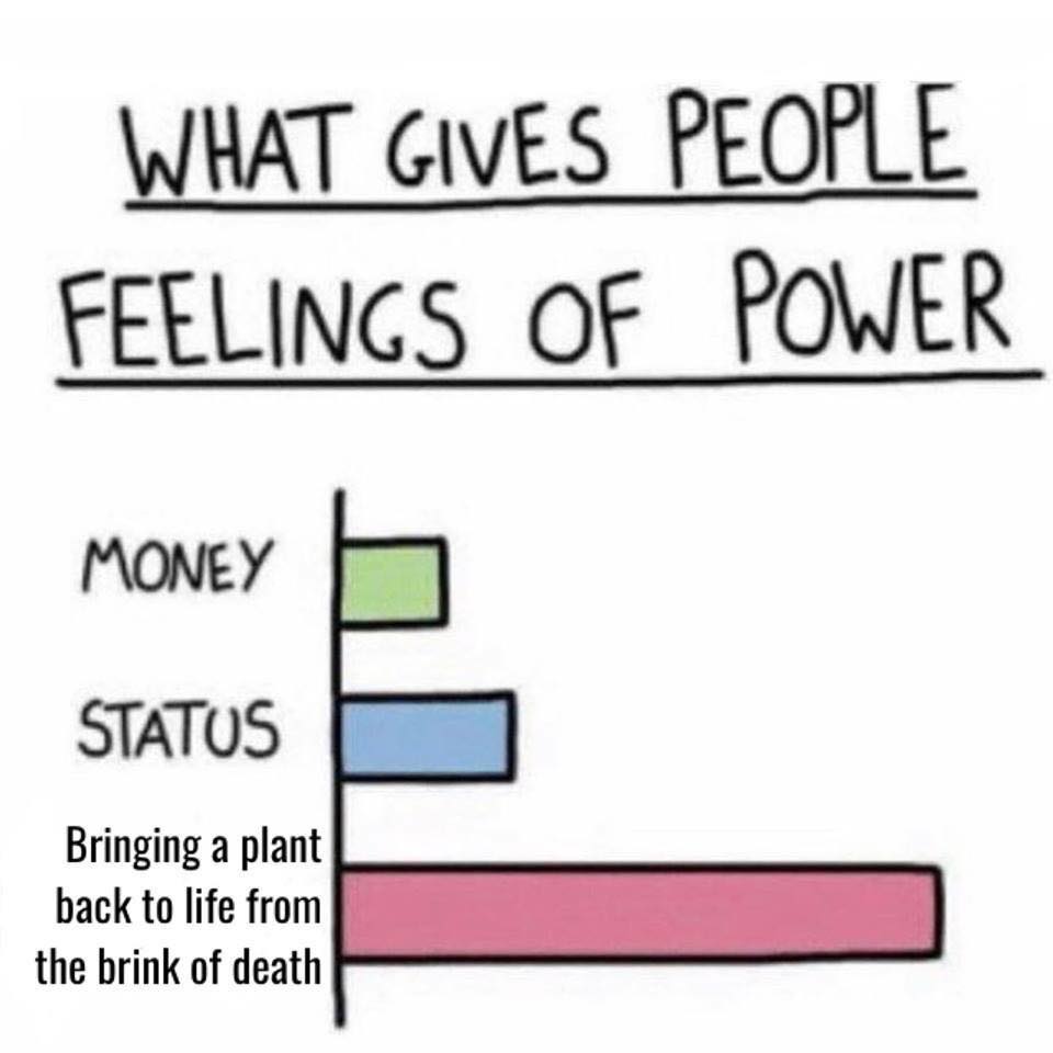 I've Got The POWER