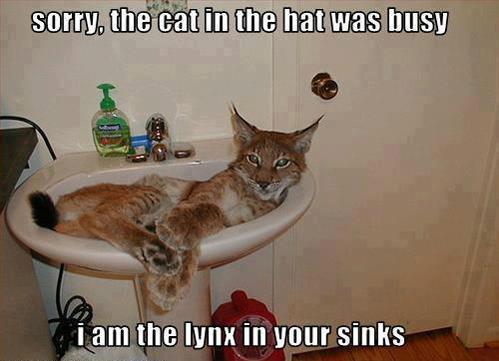Lynx In Sinks