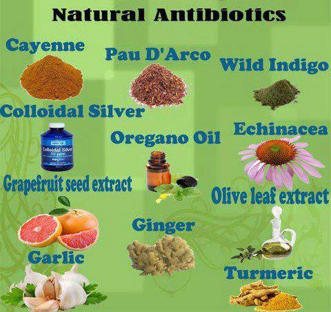 Natural Antibiotics