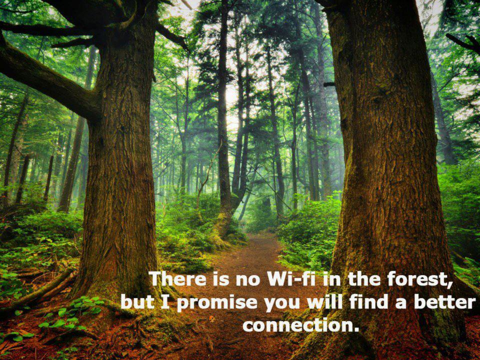 No Wi-fi In The Forest