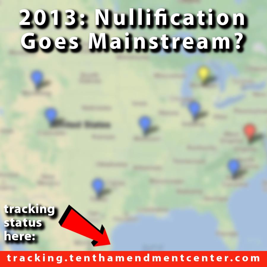 Nullification 2013