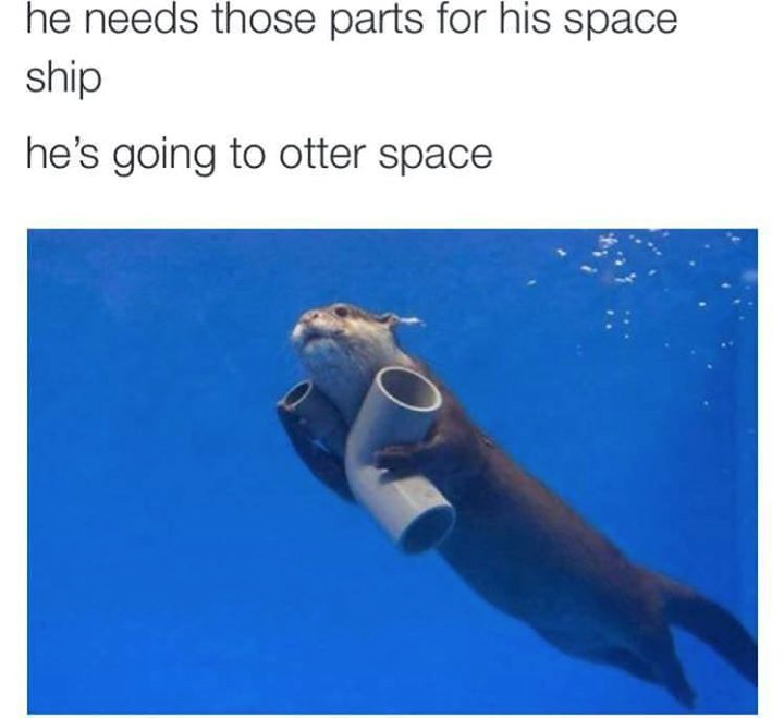 Going to Otter Space