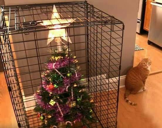 Protected Christmas Tree