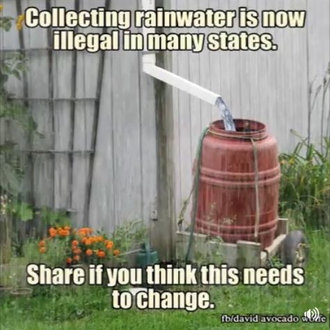 Rainwater Collection