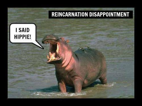 Reincarnation Disappointment