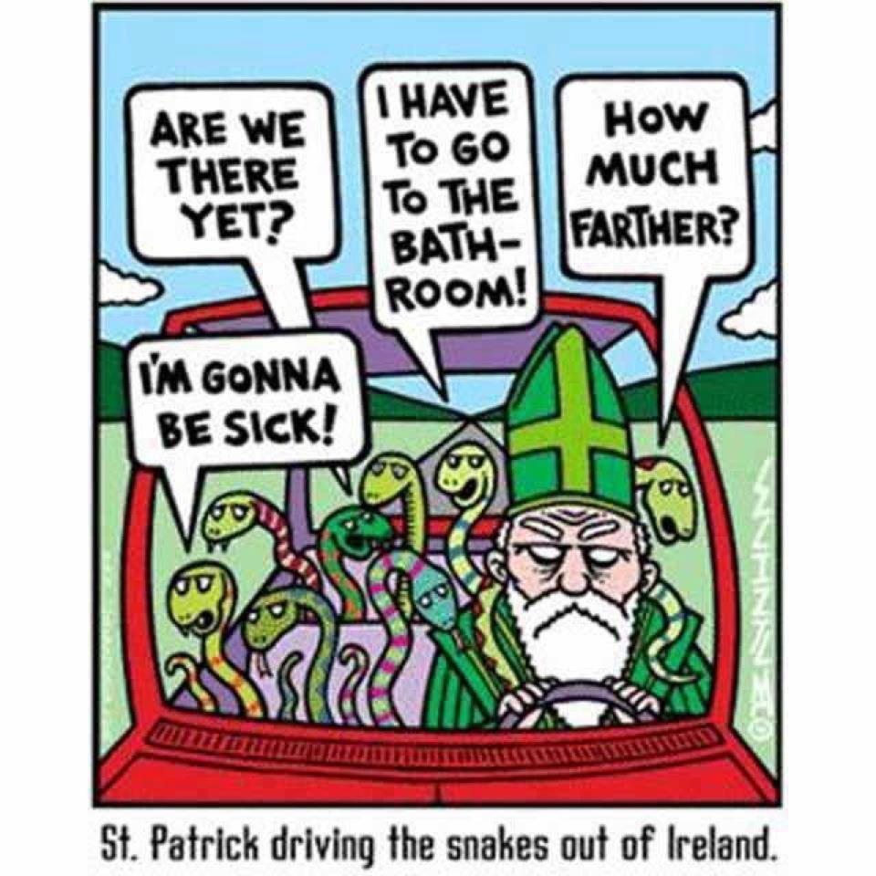 St Patrick Driving The Snakes Out Of Ireland