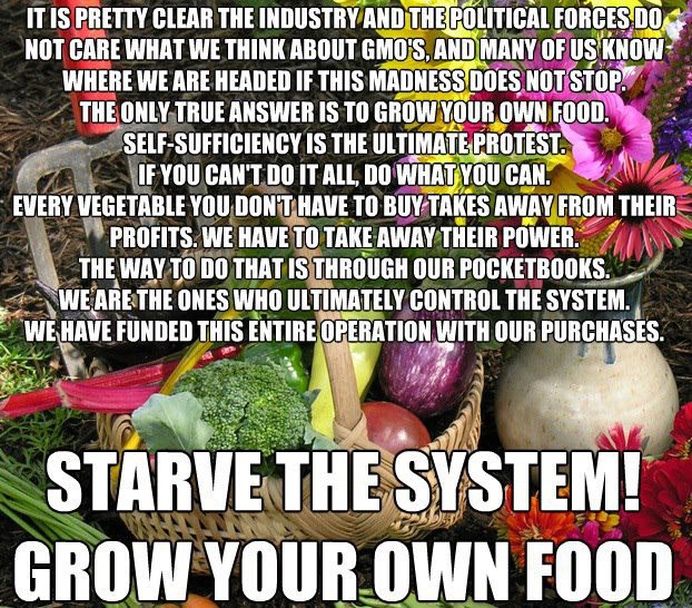 Starve The System