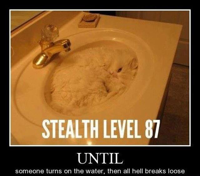 Stealth Level 87