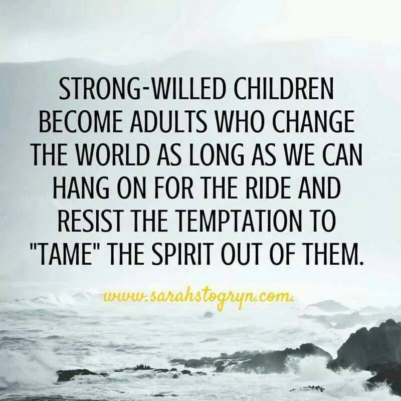 Strong Willed Children