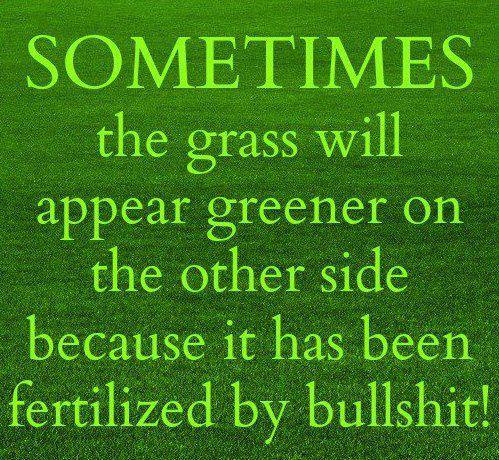 The Grass Is Greener On The Other Side