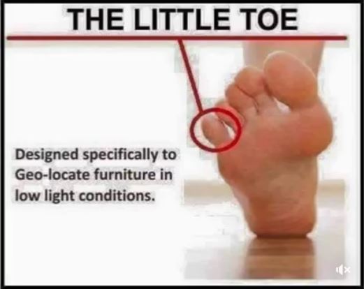 The Little Toe