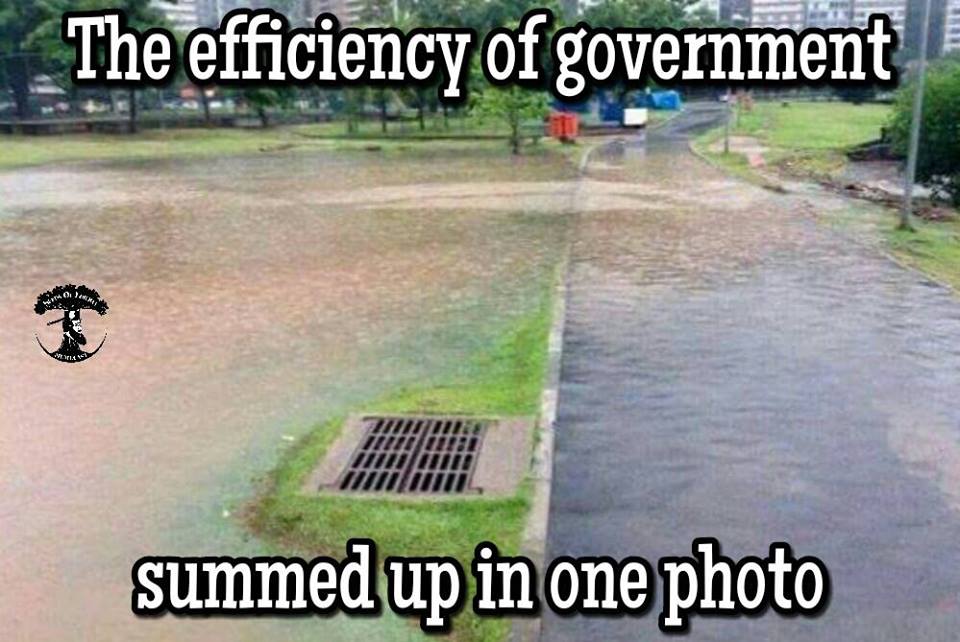 The Efficiency Of Government
