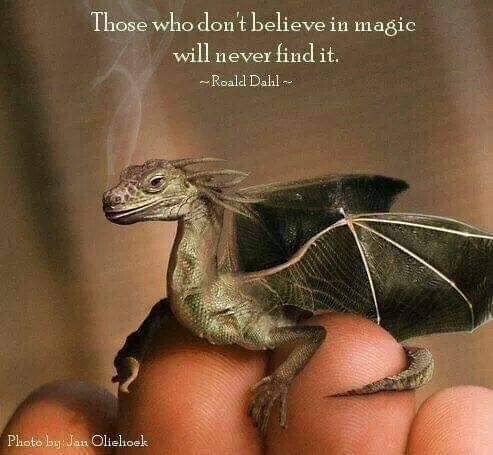 Those Who Don't Believe In Magic