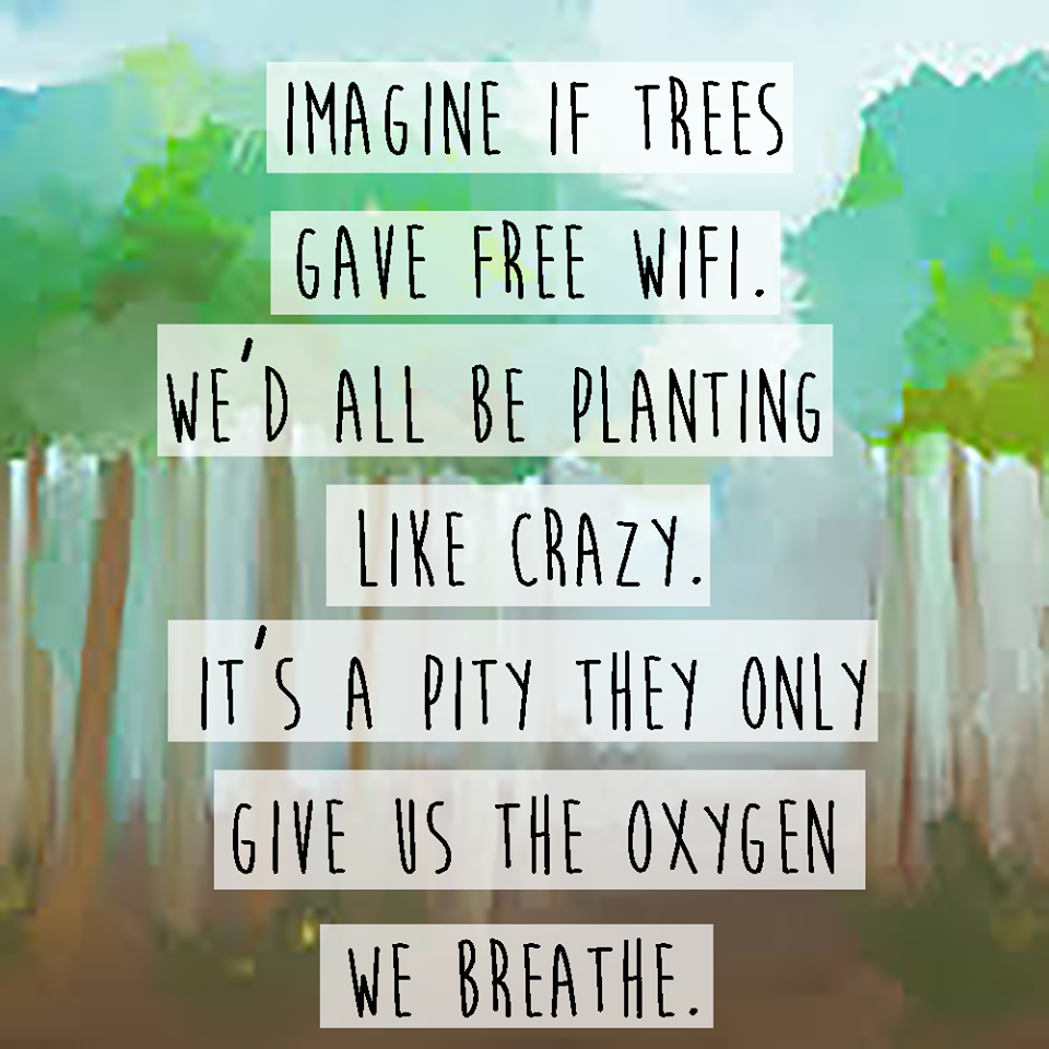 Trees And WiFi