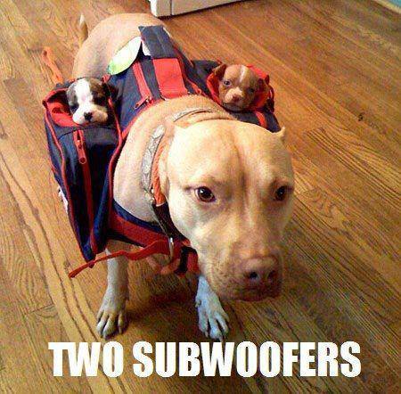 Two Sub-Woofers