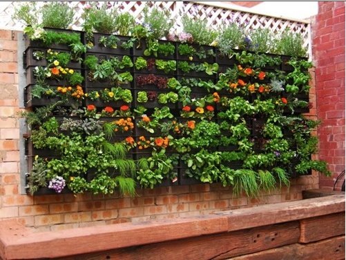 Vertical Garden Ideas