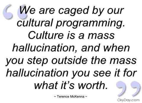 We Are Caged by Or Programming