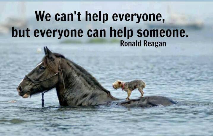 We Can’t Help Everyone but everyone can help someone. - Ronald Reagan