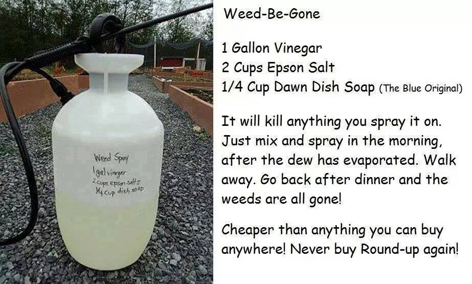 Weed-Be-Gone