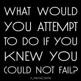 What Would You Attempt If You Knew You Could Not Fail?