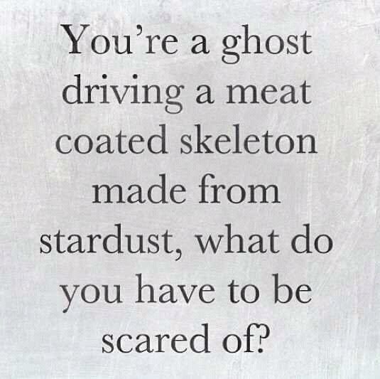 What have you got to be afraid of?