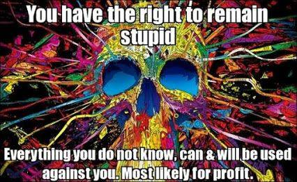 You Have The Right To Remain Stupid