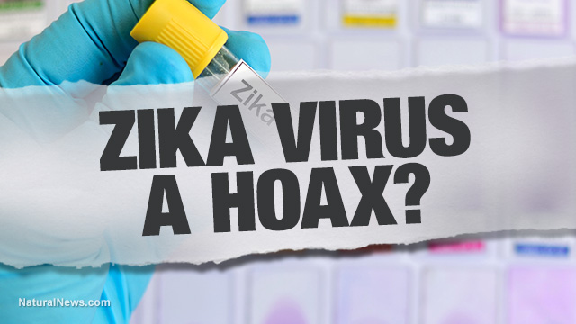 Zika-Virus-a-Hoax
